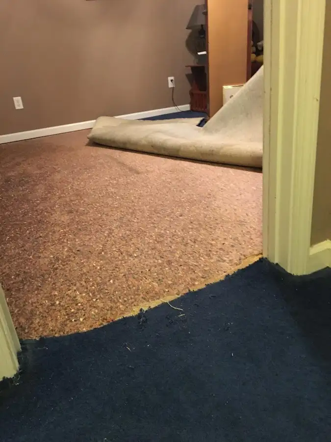 Carpet pad removal revealing water damage during Water Mitigation Services in Rockingham