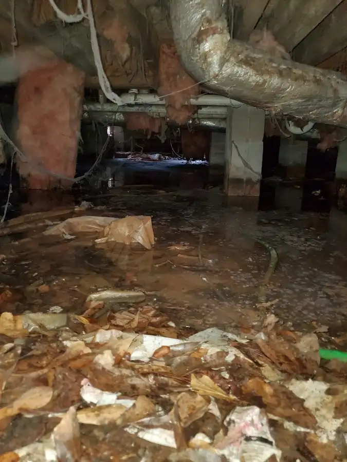 Crawl space flood assessment for Leak Detection & Repair in Rockingham